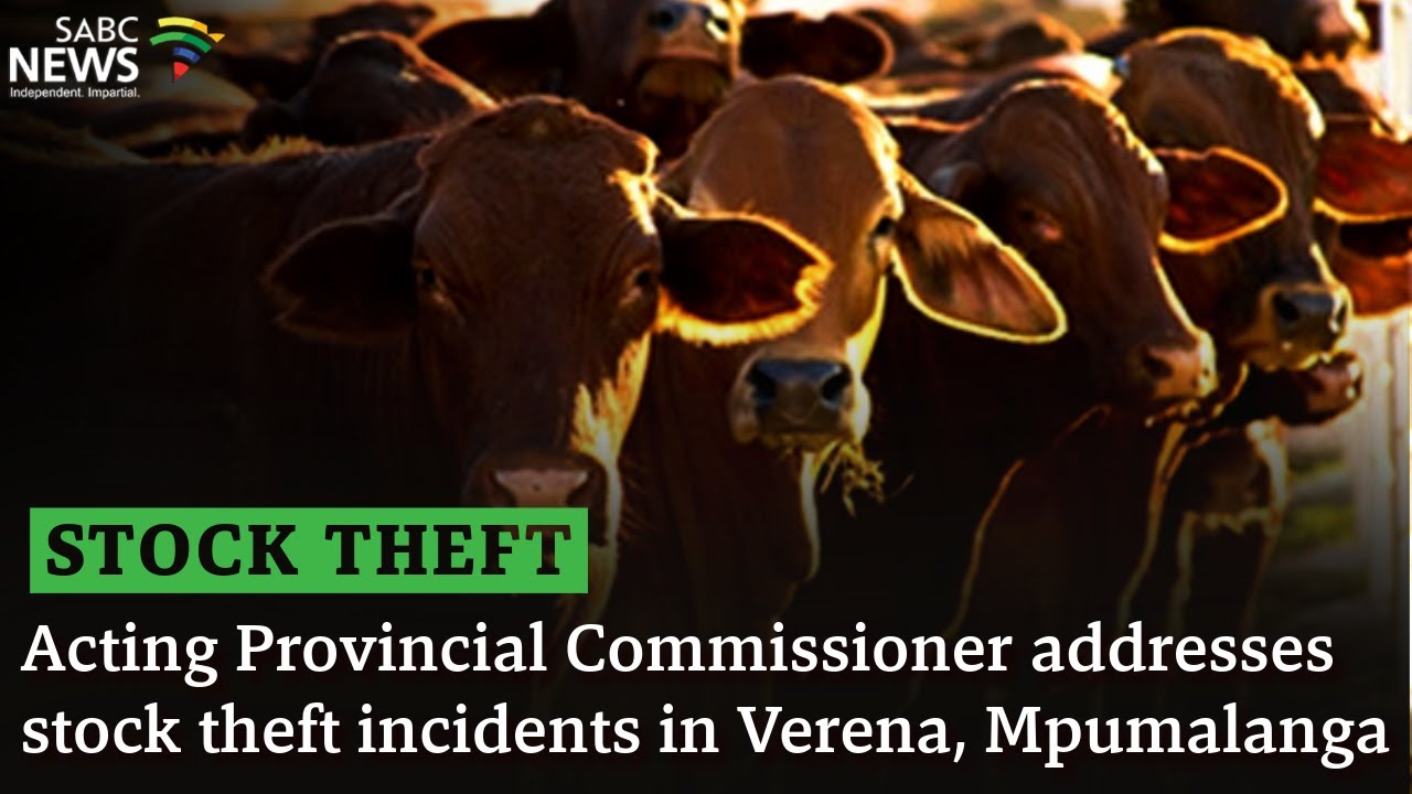 Acting Provincial Commissioner addresses stock theft incidents in Verena, Mpumalanga
