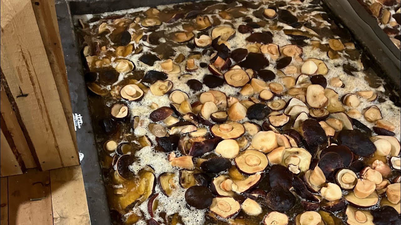 ГОТОВИМ В ПАРОВЫХ КОТЛАХ ! СИБИРСКИЙ БЕЛЫЙ ГРИБ ! ТИХАЯ ОХОТА ! БОРОВИК !