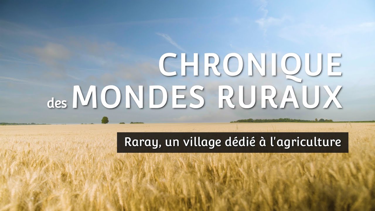 Histoire d'un village dédié à l'agriculture | Raray, Oise