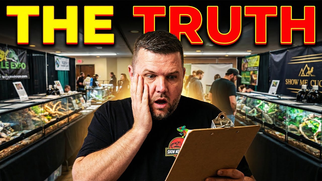 The TRUTH Behind Show Me Reptile Shows...