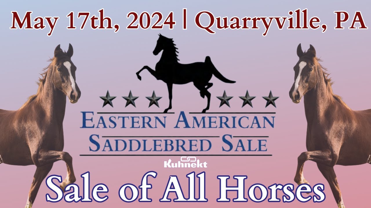 Sale - 2024 Eastern American Saddlebred Sale