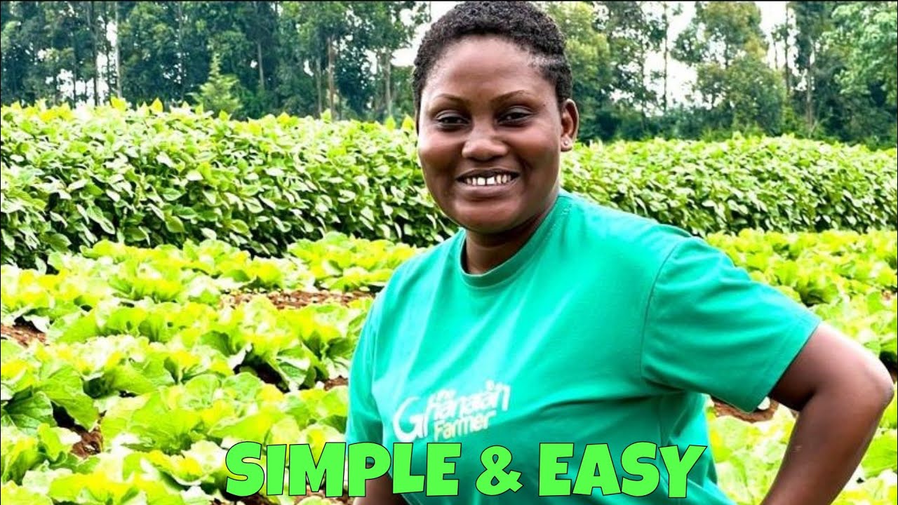 How To Start A Farm & Operate It 24/7 In Ghana Without Always Being Present | Tips For Beginners