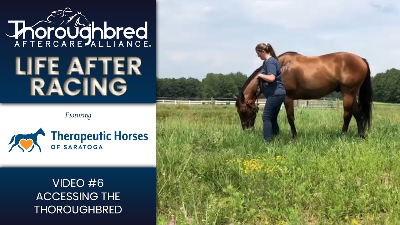 Life After Racing – Therapeutic Horses of Saratoga – Video 6: Accessing the Thoroughbred