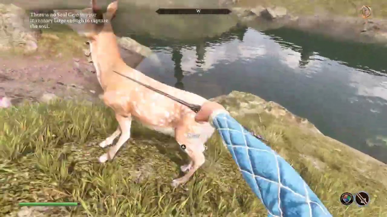 Oblivion Remaster: Explorando e Questando #2