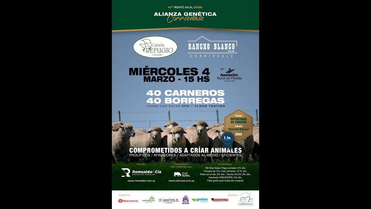 04/03/2026  47º Remate Alianza Genética Corridale - Rancho Blanco / Romualdo & Cia. | Clic Rural