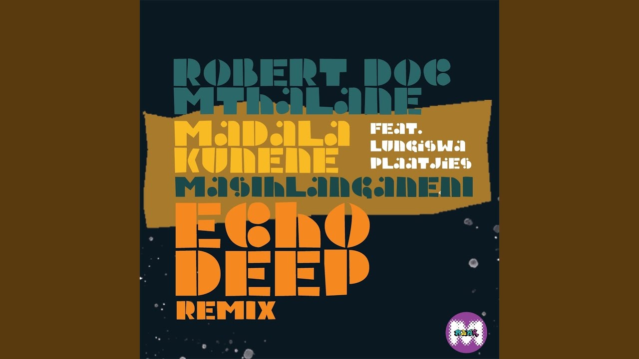Masihlanganeni (Stop the Killings) feat. Lungiswa Plaatjies (Echo Deep Remix)