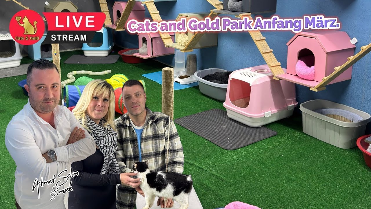 Cats and Gold Park Anfang März