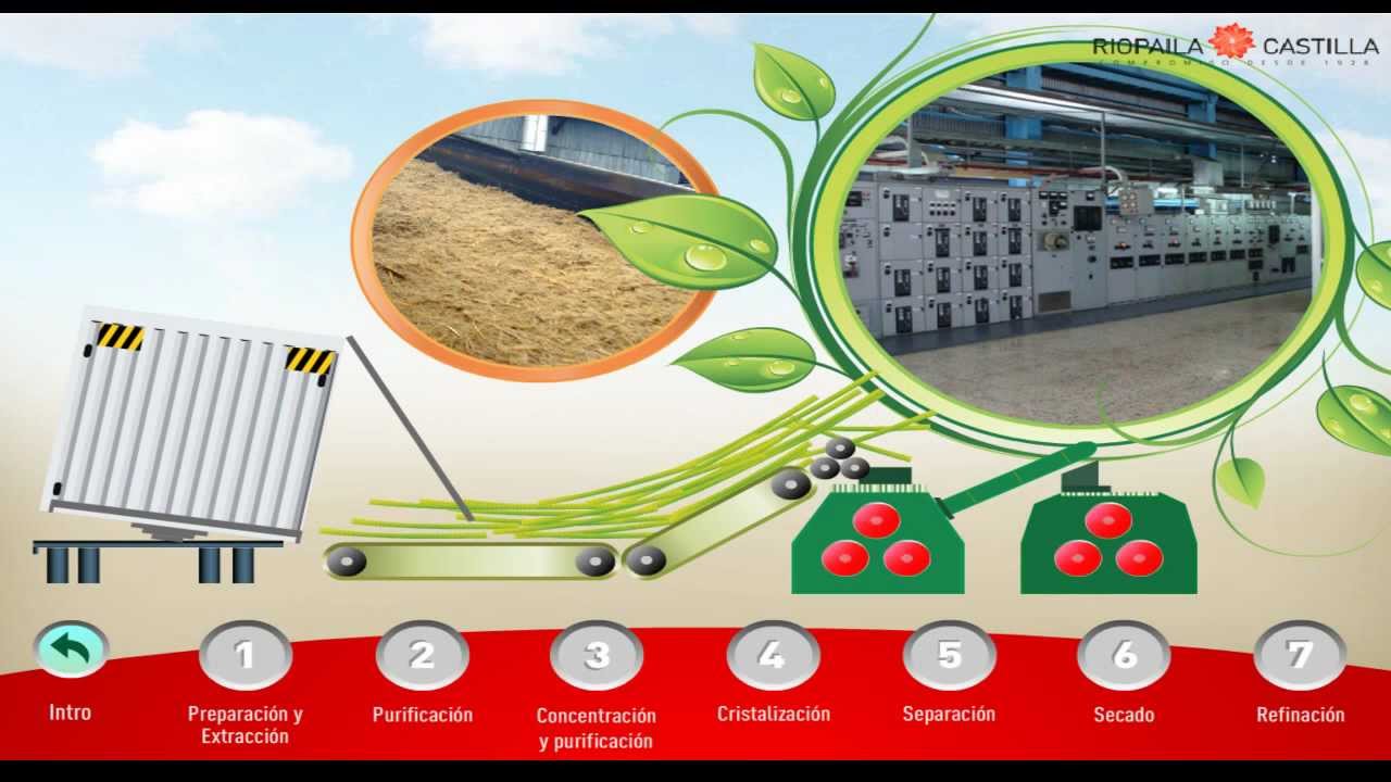 Proceso de elaboración del Azúcar Riopaila Castilla