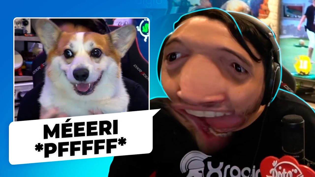 A GALERINHA DA PESADA DO CANAL: TAMTAM E CHO 🐶