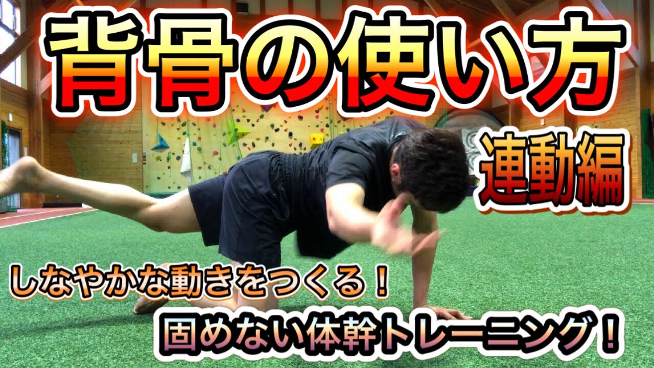 【固めない体幹トレーニング】背骨の使い方！連動編！しなやかな動きを作る体幹トレーニング！！