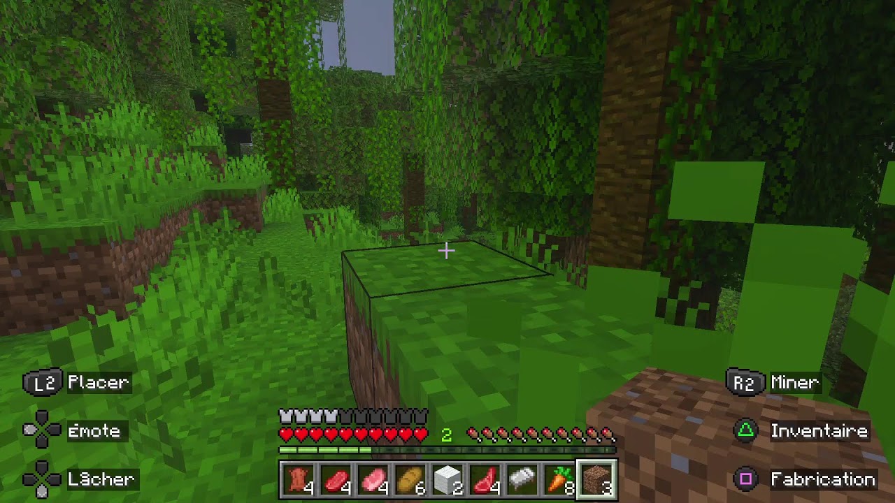 Minecraft