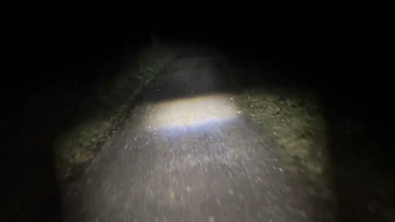 Nice MTB Trail at Night #mtb #mtbdownhill #mtblife #mtblifestyle #mtblove #mtbguide #mtbfail