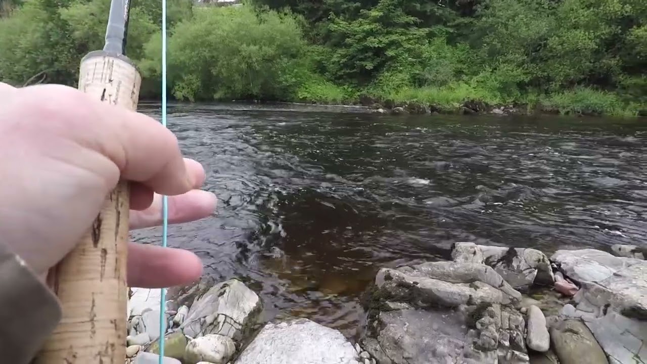 Mikes big salmon lost at burns canonbie esk