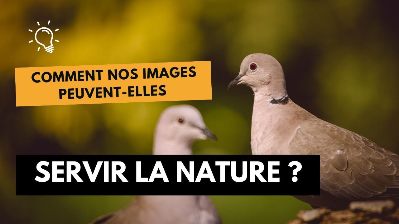 Comment servir la nature avec nos images ?