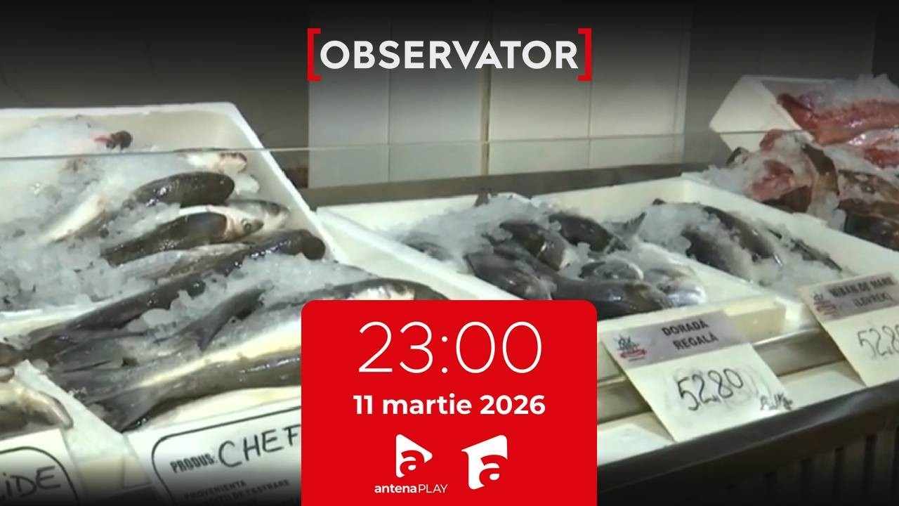 Observator de Noapte, 11 martie 2026: Somonul norvegian înghite crapul românesc