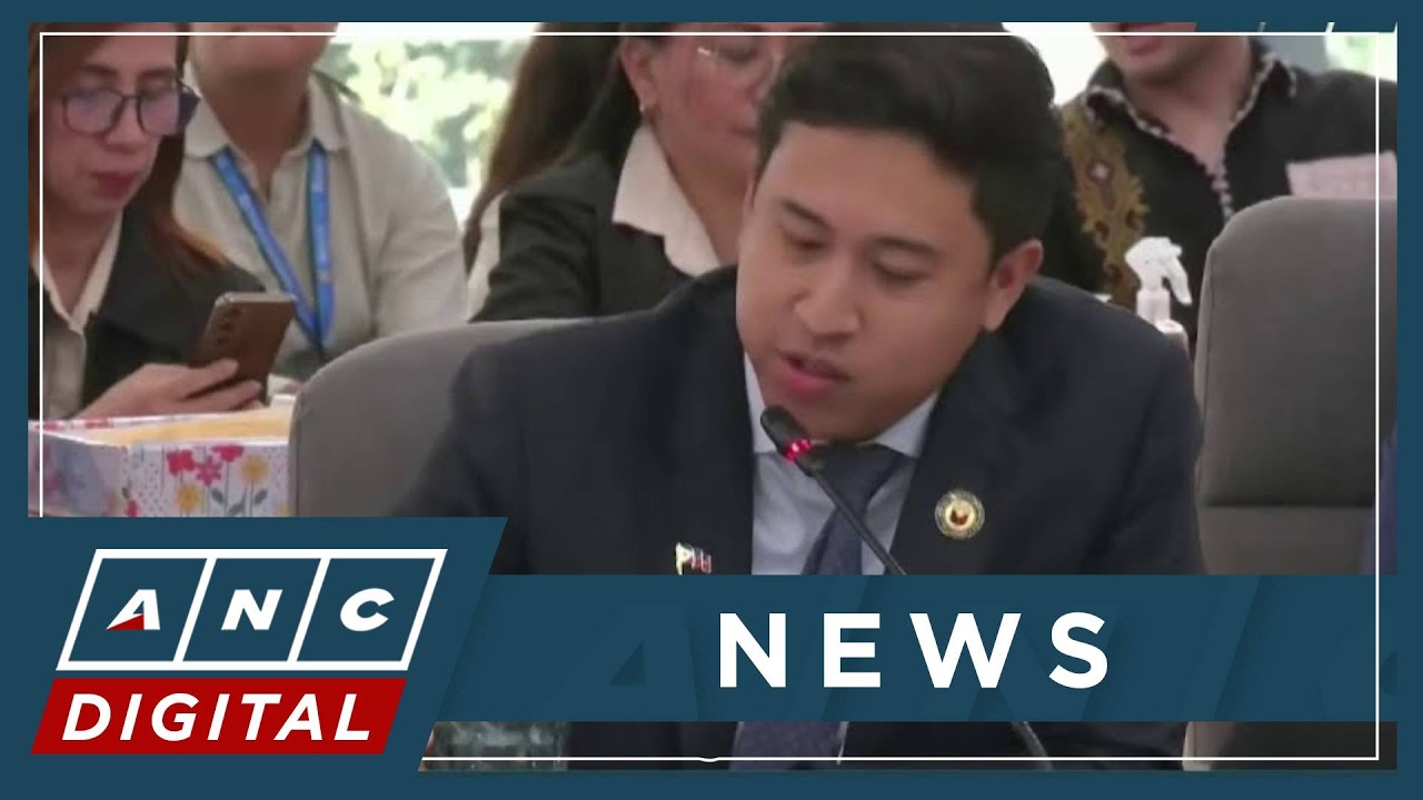 Padiernos questions Nisay what article of constitution Marcos violated over Duterte 'kidnapping'