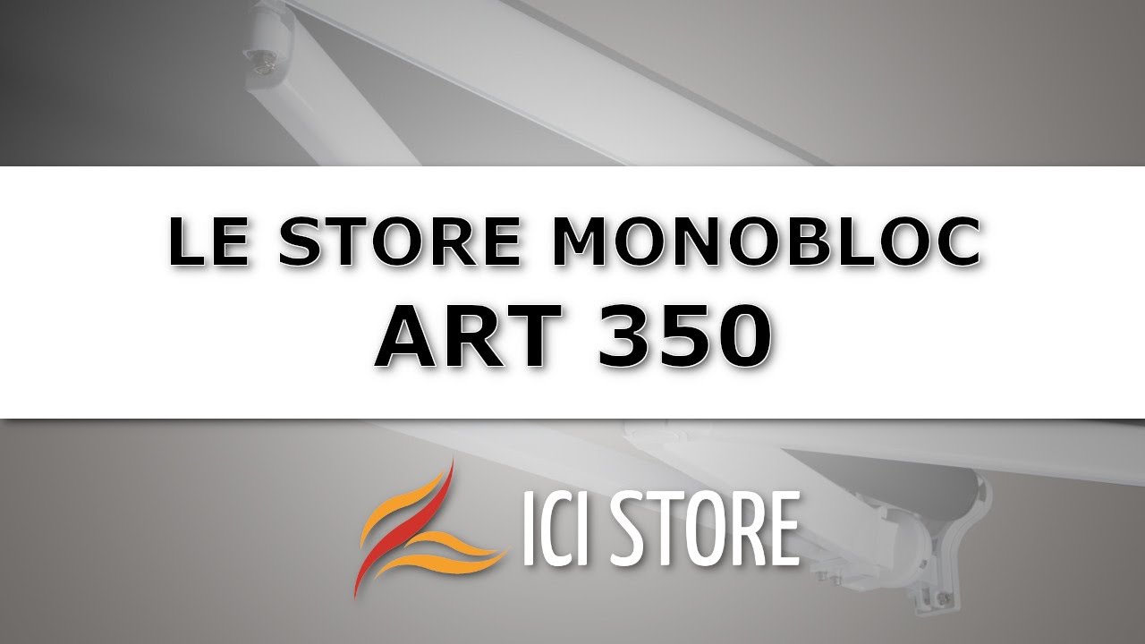 Tout savoir sur le store banne monobloc