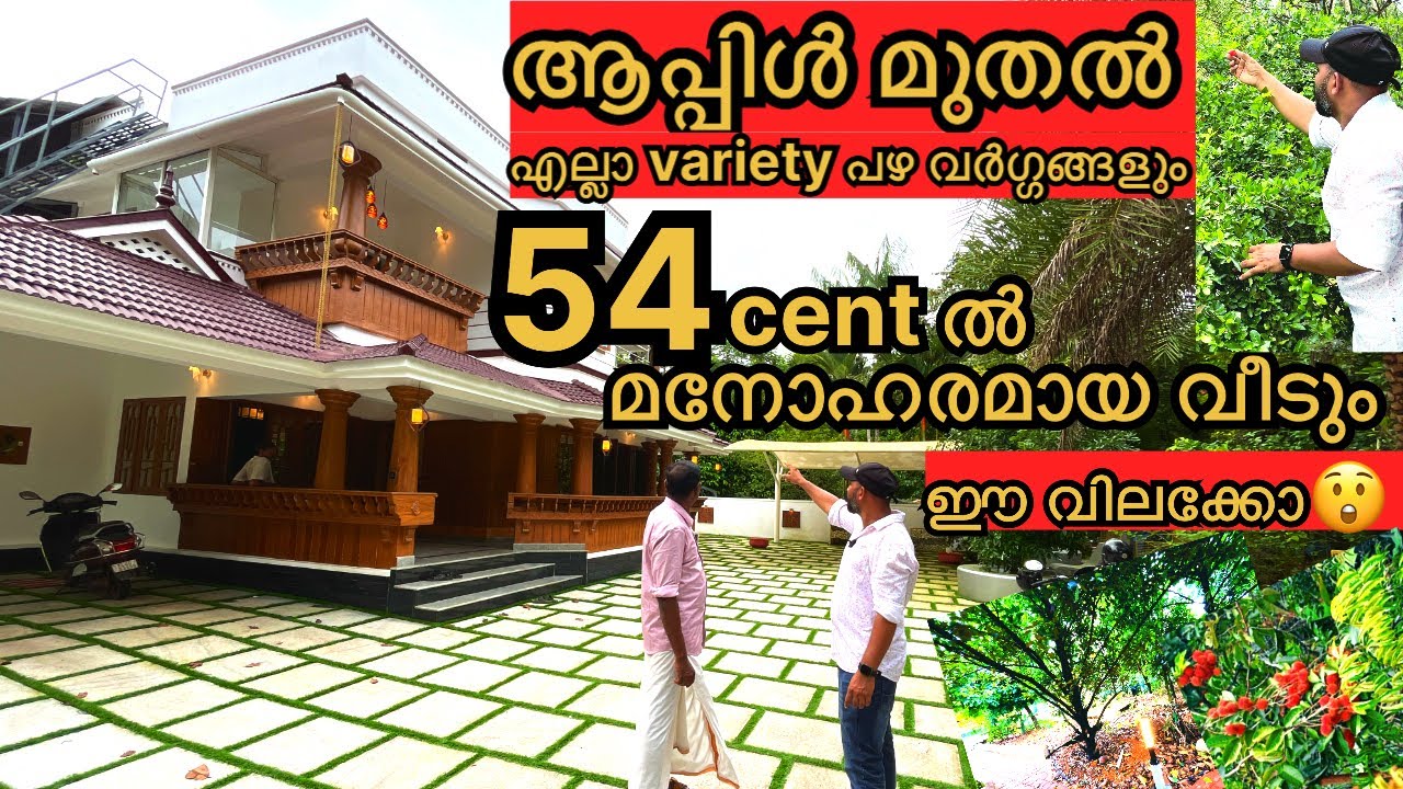 54centൽ അടിപൊളി ഒരു വീടും ആപ്പിൾ മുതൽ എല്ലാ പഴ വൃക്ഷങ്ങൾ ഓ… പൊളിച്ചു മോനെ