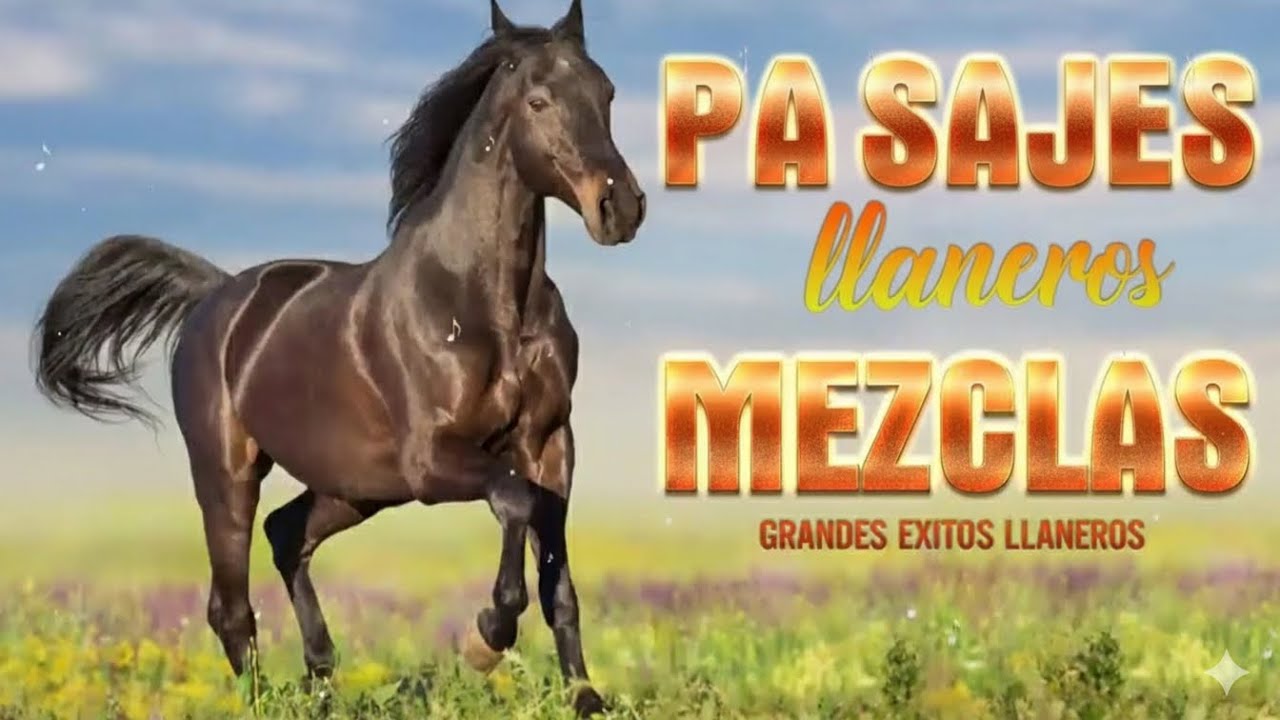 🐴 Pasajes Llaneros &ndash; Joropo | Al&iacute; Cabello, Cheo Hernandez , Vitico Castillo, Reynaldo Armas
