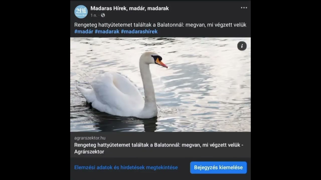 Képes Lapszemle 2026.02.20.#madár #madarak #madarashírek