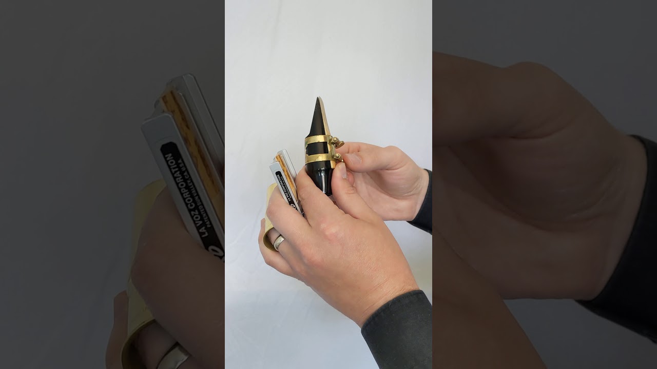 Mouthpiece & Reed Assembly for Saxophone