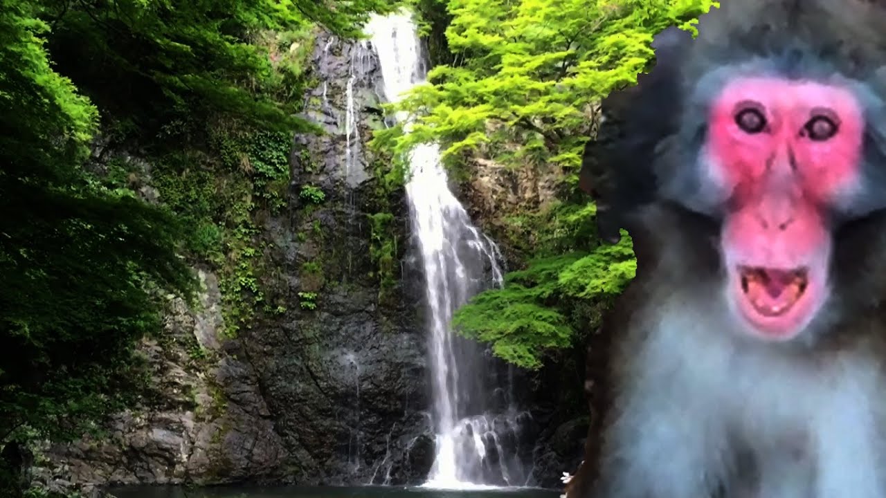 Exploring Japan: Beautiful Minoh Falls, dangerous monkeys.