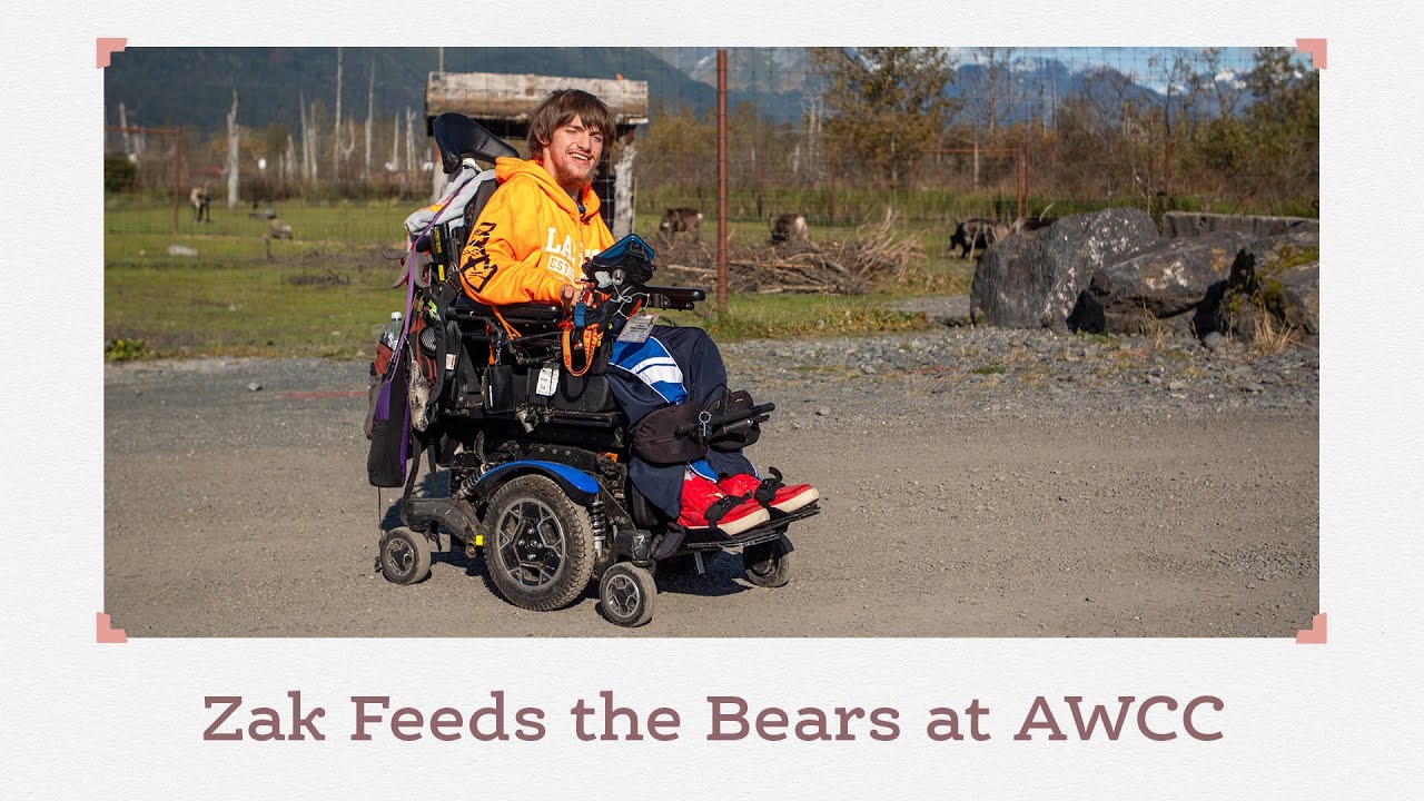 Man living with Cerebral Palsy feeds the bears at Alaska Wildlife Conservation Center