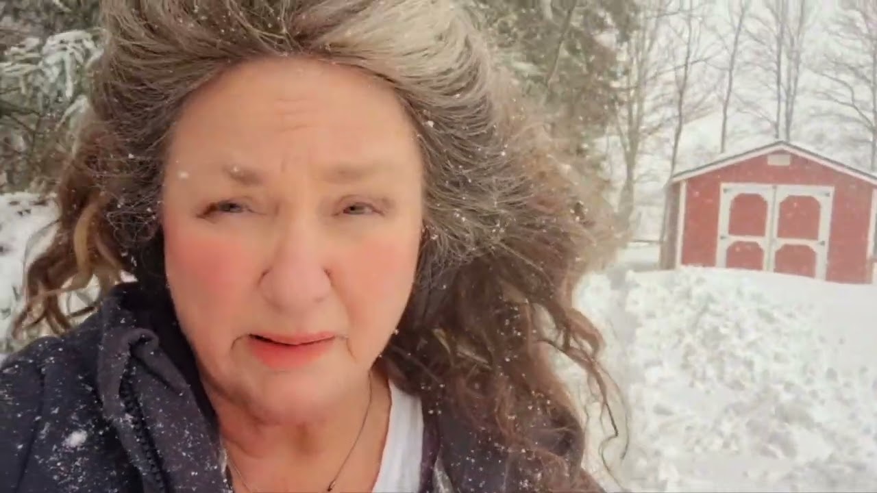 Blizzard on the homestead 