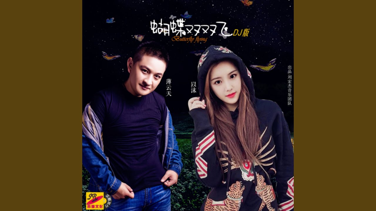 蝴蝶双双飞 (DJ何鹏 Remix)