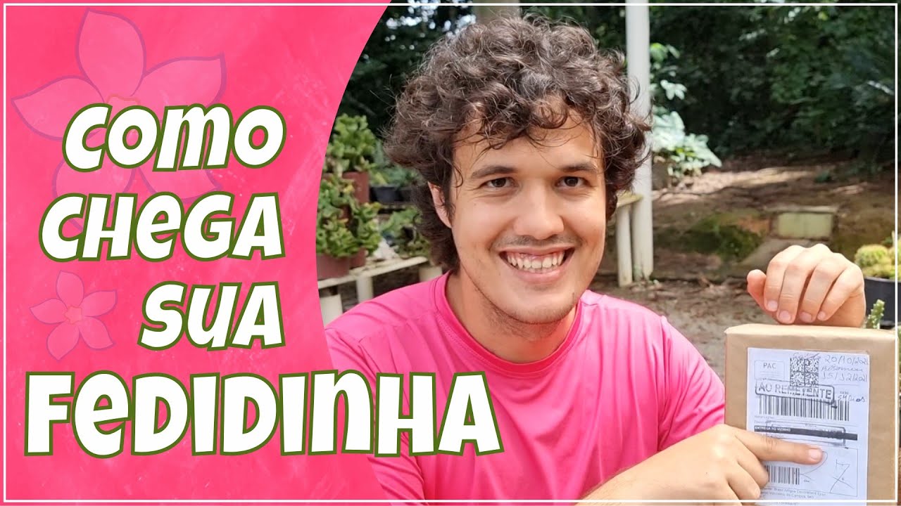 54 DIAS DE VIAGEM. ELAS SOBREVIVEM?