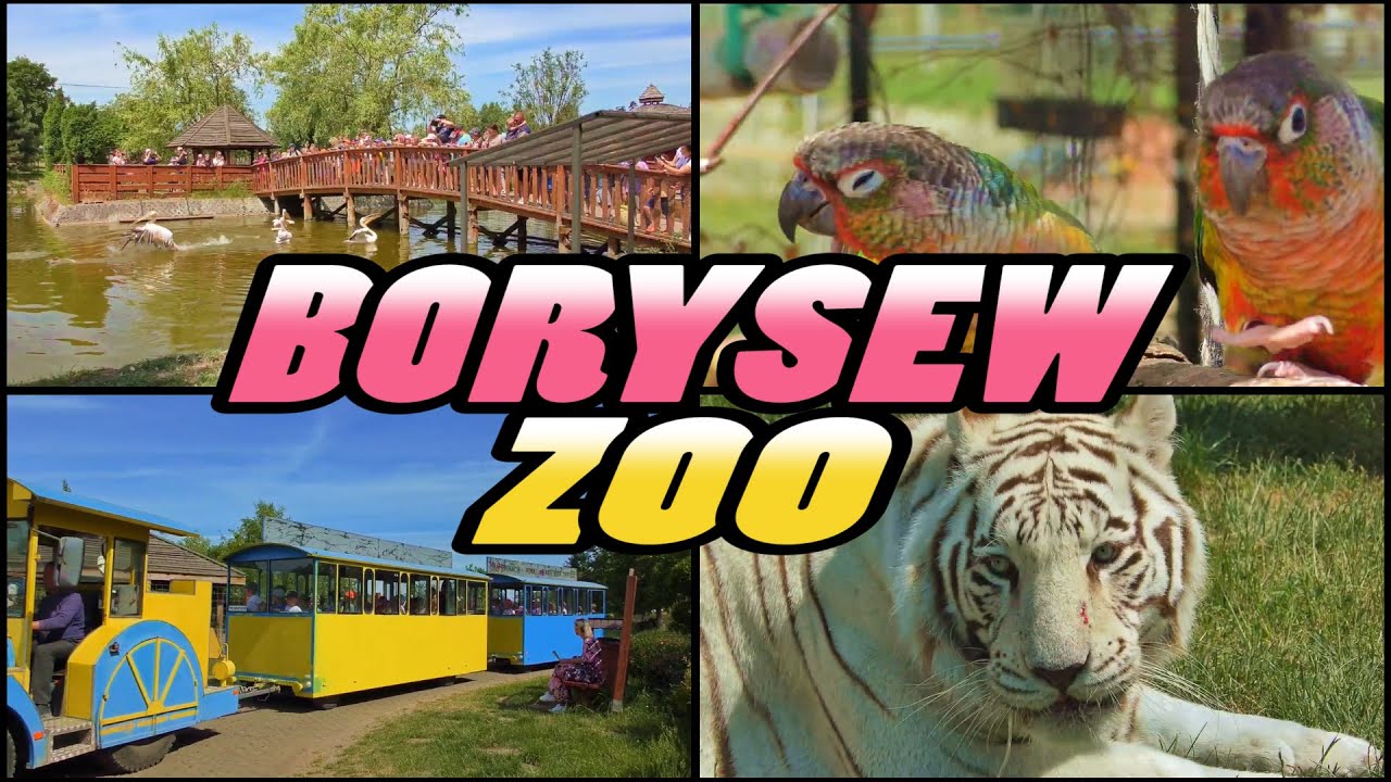 ZOO SAFARI BORYSEW - Poland (4k)