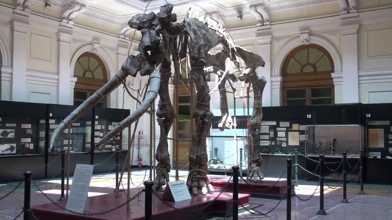 Museo di Storia Naturale di Genova Info tour per crocieristi Liveboat Crociere
