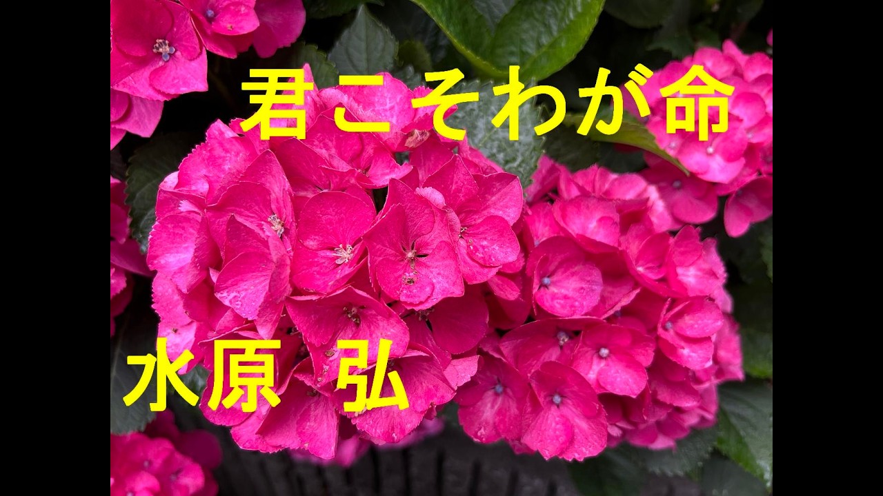 君こそわが命/水原弘　Cover♪あいさい・・♪