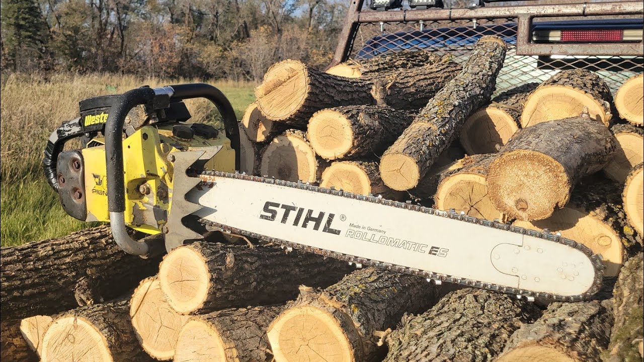 Pioneer p61, 98cc of vintage chainsaw goodness!!
