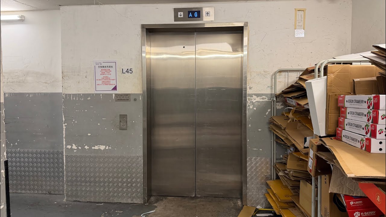 元朗形點一期L45號東芝貨運無機房升降機