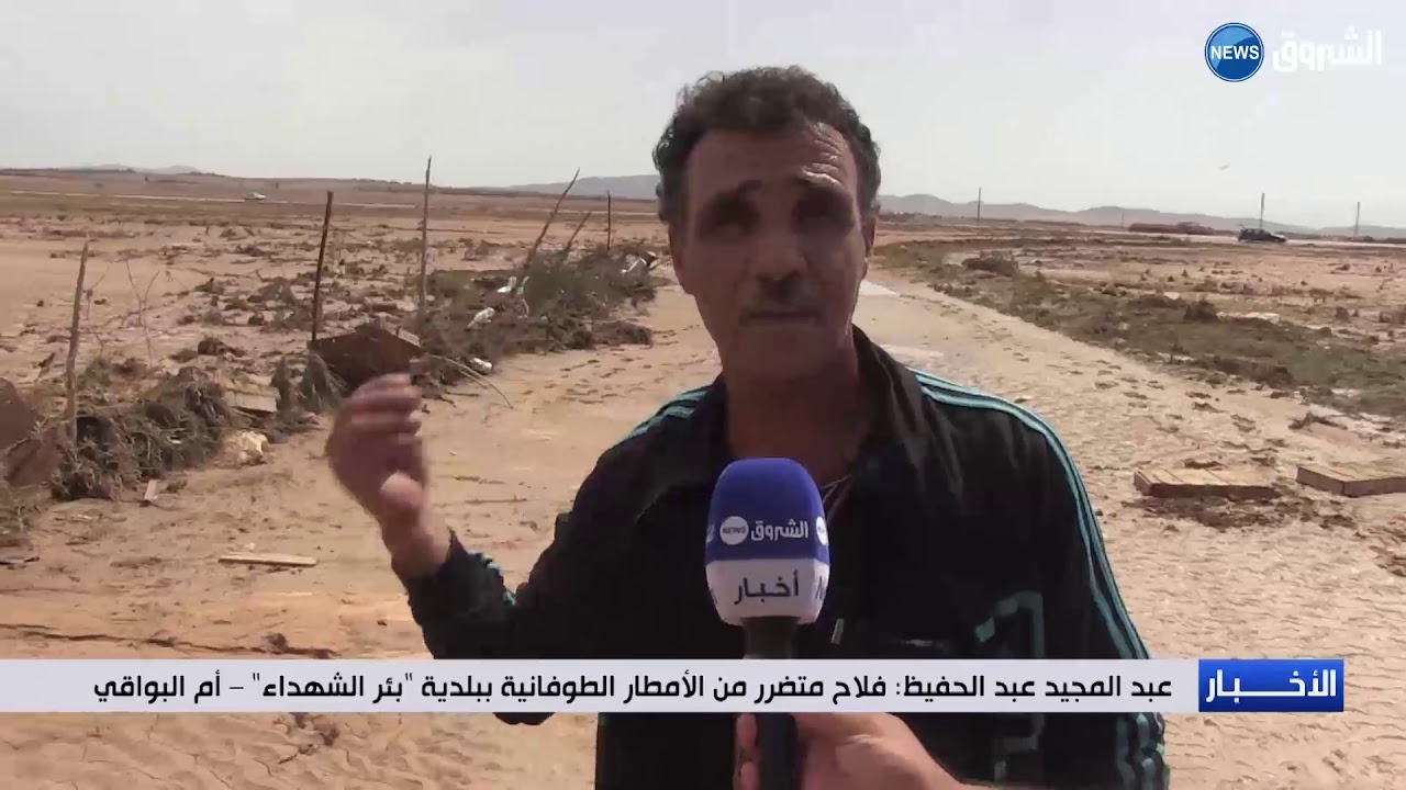 أم البواقي: نفوق 3000دجاجة بيضاء بمشتة بئرالرعاين ببلدية بئر الشهداء