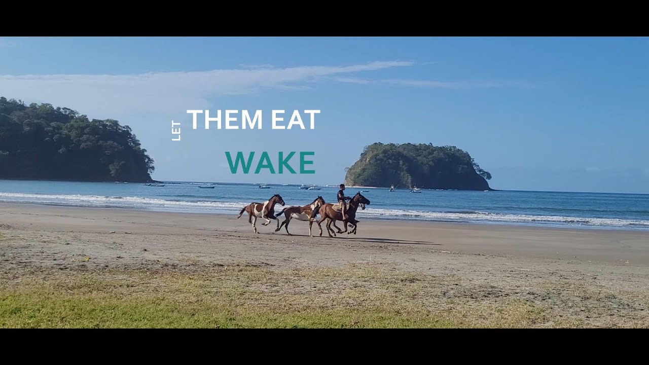 COSTA RICA SAMARA TRIP(for family)
