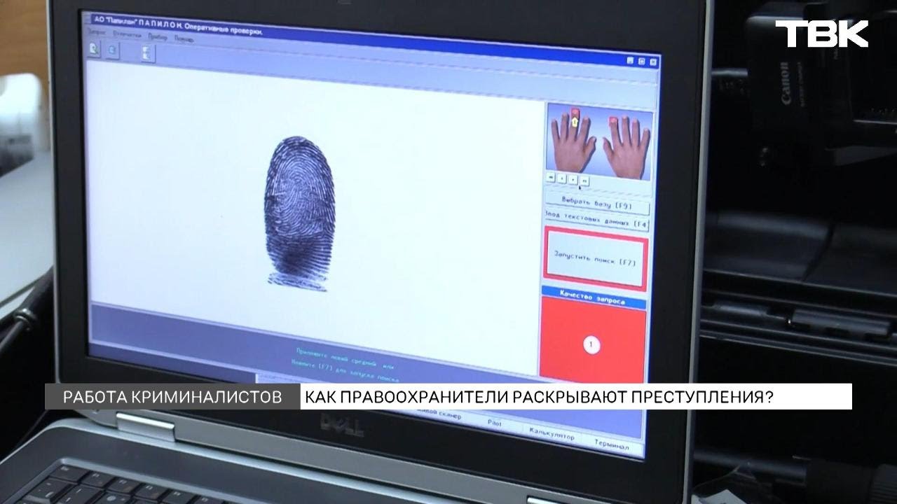 Какие технологии помогают красноярским правоохранителям раскрывать преступления?