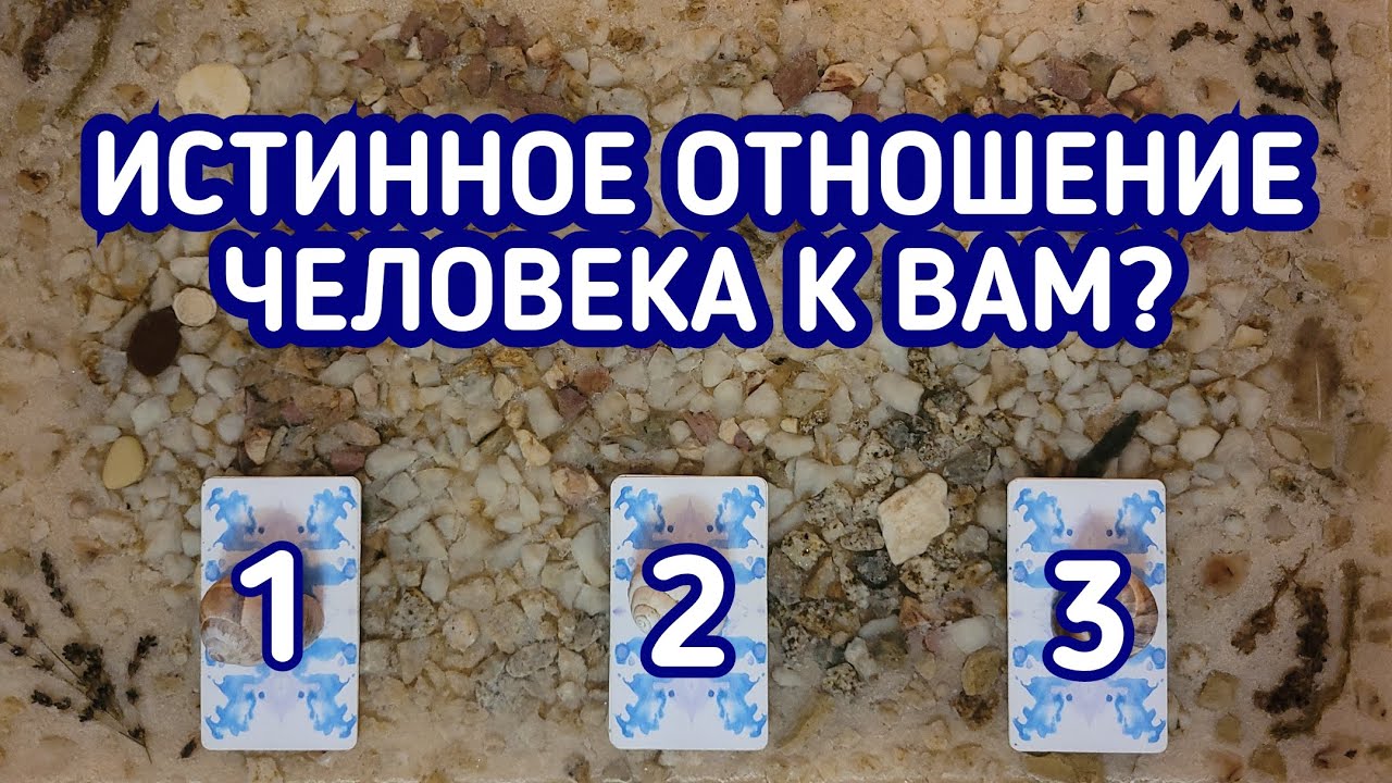 Истинное отношение человека к Вам? | 3 варианта | Гадание онлайн | Таро расклад | Таро терапия Души
