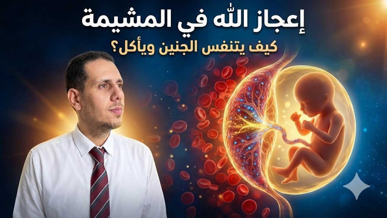 سر المشيمة: كيف يتنفس ويأكل الجنين؟ إعجاز علمي مذهل سيبكيك! ✨🤰