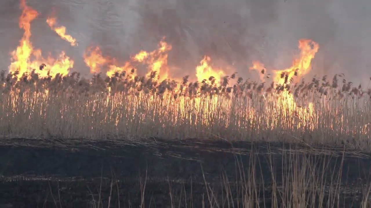 15. Sokołów Podlaski. Burmistrz - fotograf - Pędich trailer 15