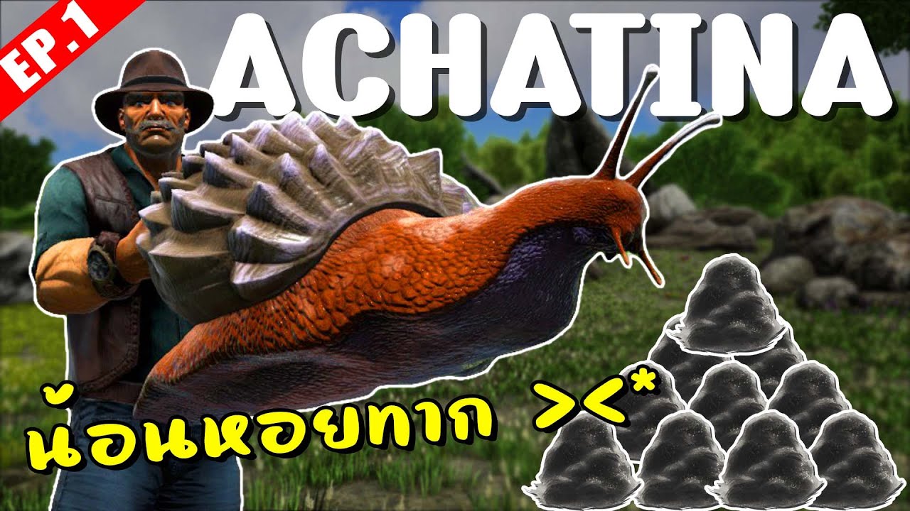 Achatina น้อนหอยตั้ลลัก - จับสัตว์ A-Z (The series) #1
