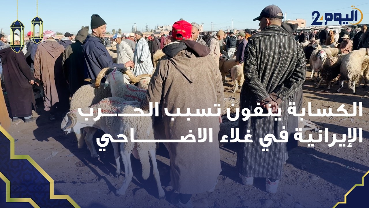 مراكش..  الكسابة ينفون تسبب الحــــ.ــــرب الإيرانية في غلاء الاضاحي ويربطنه بغلاء الاعلاف