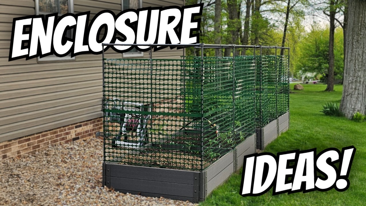 5 Custom Cage Ideas For Protecting Your Garden!
