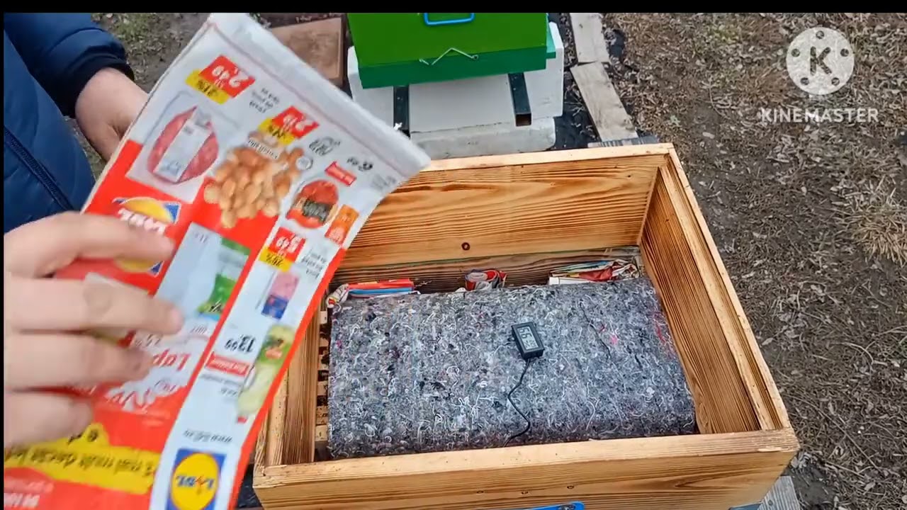 Aplicare turta energetica cu tymol  🐝🐝