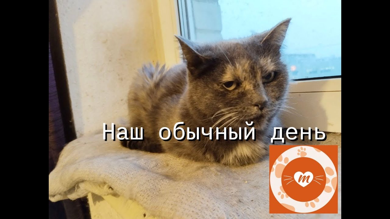 Наш обычный день