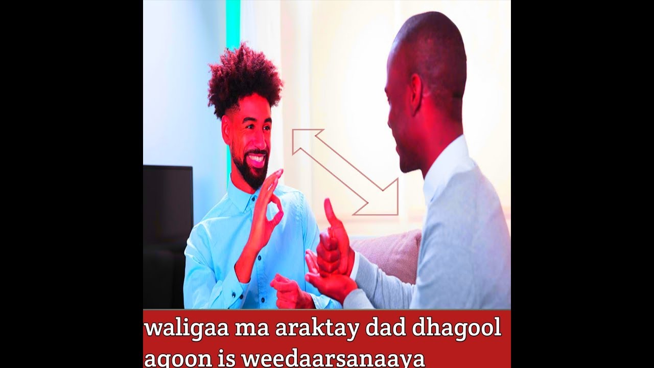 |||TARJUMID||| SHIR UDHAXEEYA 2 MACALIN OO MAQALKA LA,A TALOW MAXEY KASHEEKEESANAAYAAN