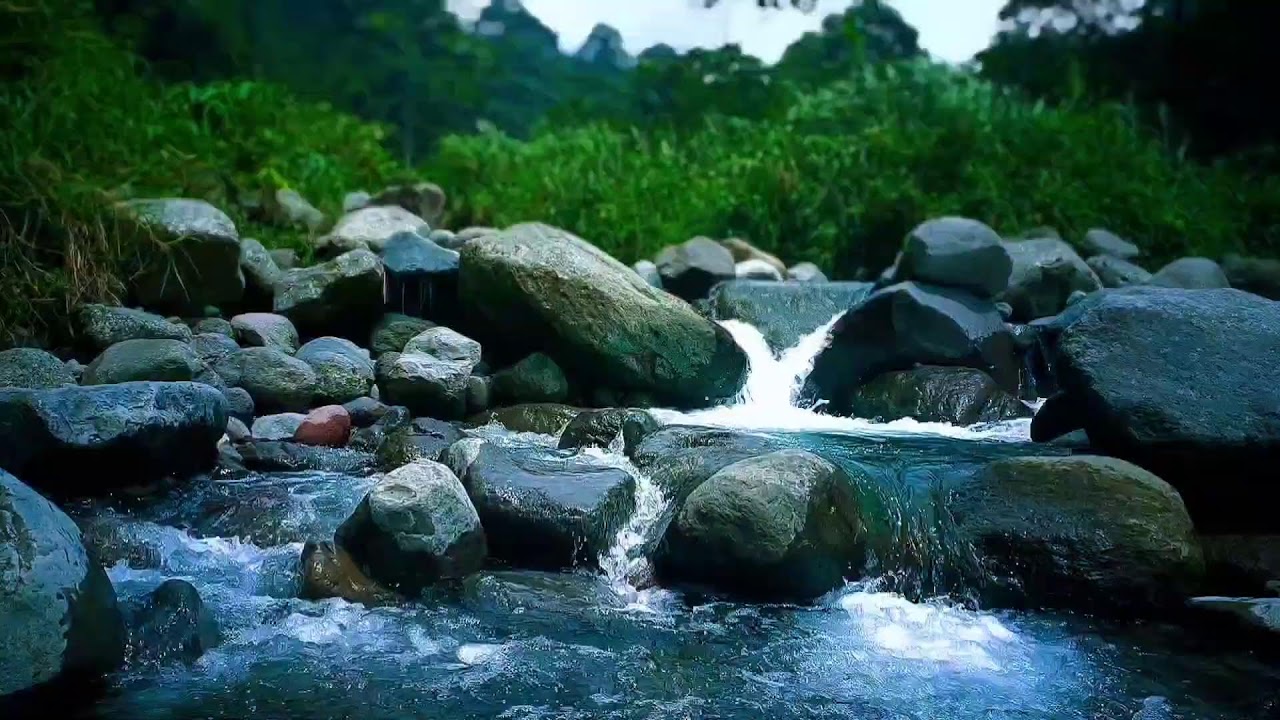 🍃 Peaceful Riverside ASMR Sounds for Deep Sleep, Relaxation & Calm Mind