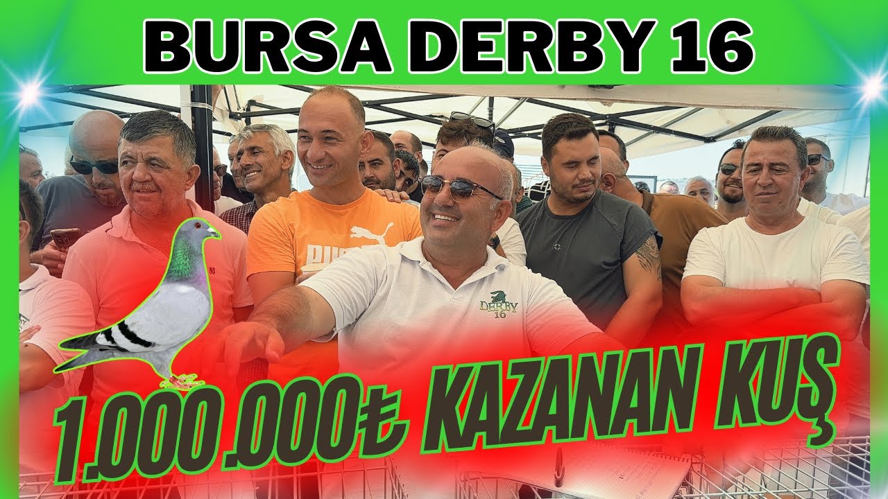 1.000.000 ₺ Kazanan Şampiyon Posta Güvercinine İhalede 250.000 ₺ Teklif Geldi