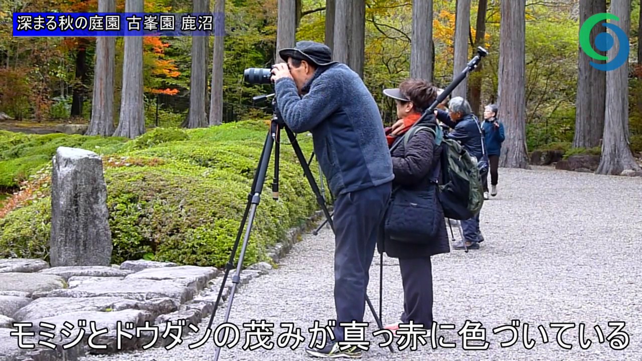 深まる秋の庭園 古峯園 鹿沼